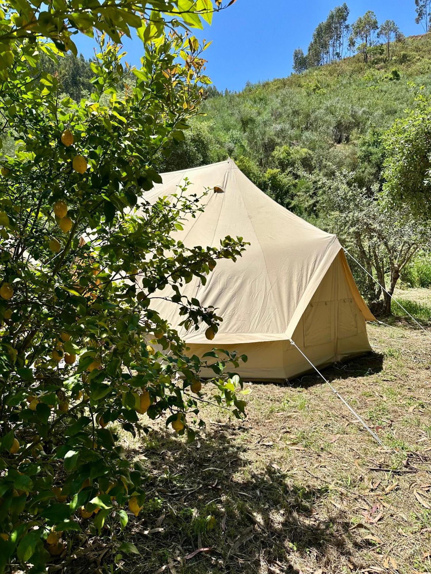 Giant Canvas Rental Tent Agro-Turismo Quinta Da Fonte Figueiro Dos Vinhos Exterior photo